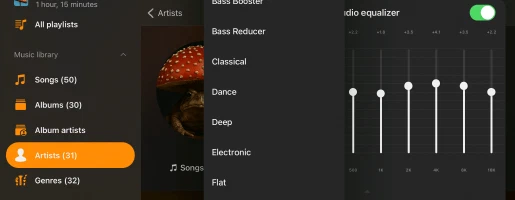ऑडियो इक्वलाइज़र